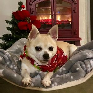 🎄🎈Accepting offers for holiday shoppers! 🎄❤️😁